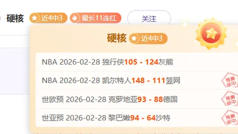 拜仁盛夏：赛季波澜录