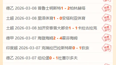 紐卡斯爾聯中場酒駕案審結，被判禁駕一年及賠款2.9萬元